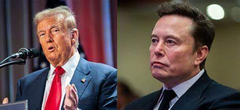 trump and musk