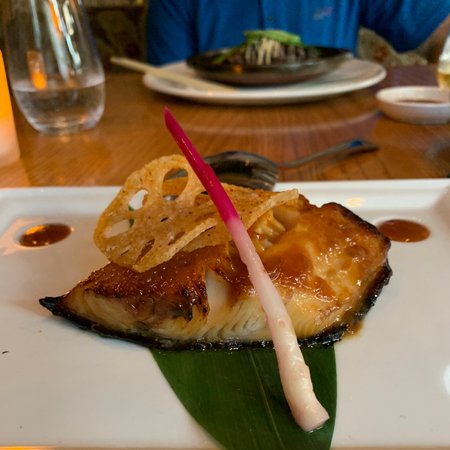 nobu best restaurants in dallas