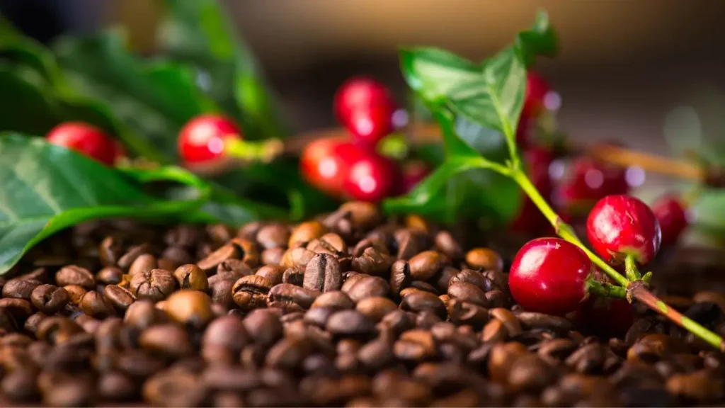 Sumatra Mandheling coffee beans
