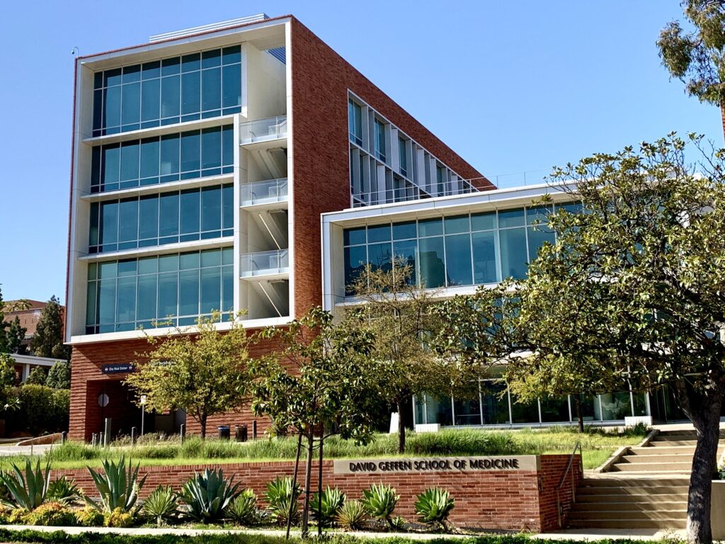 David Geffen School