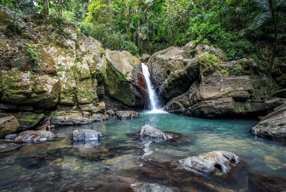 El Yunque National Forest - Playa de las Cataratas