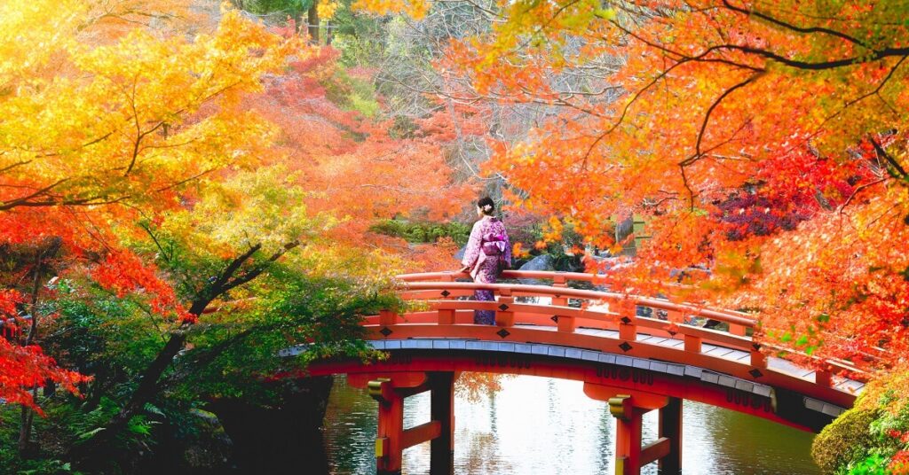 japan in autumn