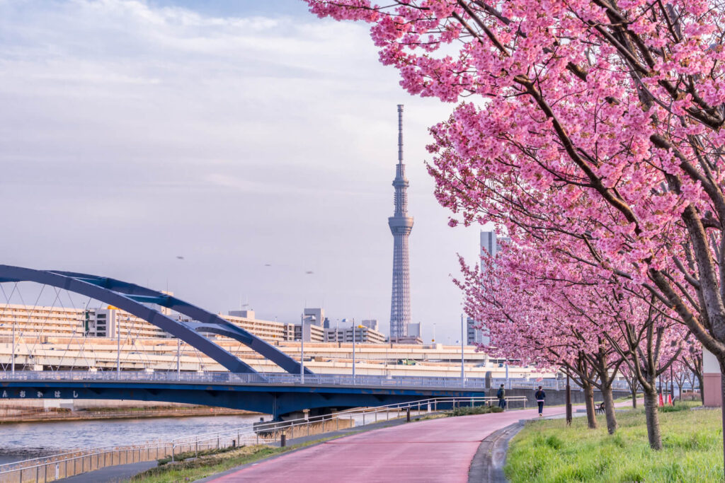 japan in tokyo